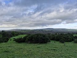 Corbally, Templeorum