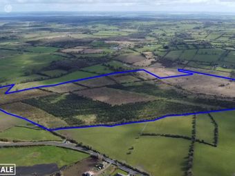 Agricultural Land For Sale at c. 104 Acres at Ballygalda Or Trust, Roscommon Town, Co. Roscommon