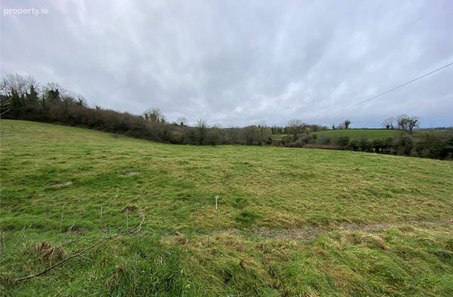 Summer Fields, Lisnalee, Scotshouse, Clones, Co. Monaghan - Click to view photos