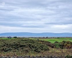 Views from Living room