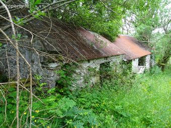 Derelict Cottage And C.131 Acres, Lenanasillagh, Castlebar, Co. Mayo - Image 2