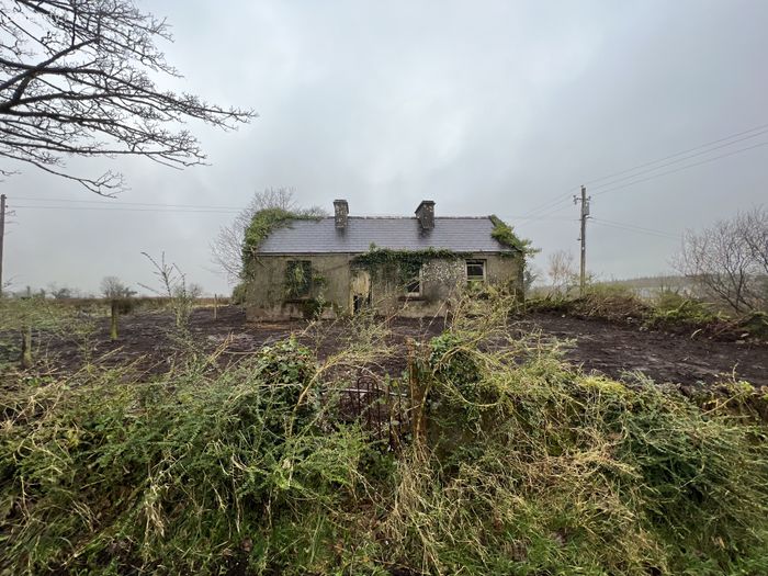 Kiltybo, Ballyhaunis, Co. Mayo Property.ie