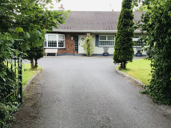 DAMIAN LYNCH AUCTIONEER & VALUERS, Main Street, Banagher, Co. Offaly
