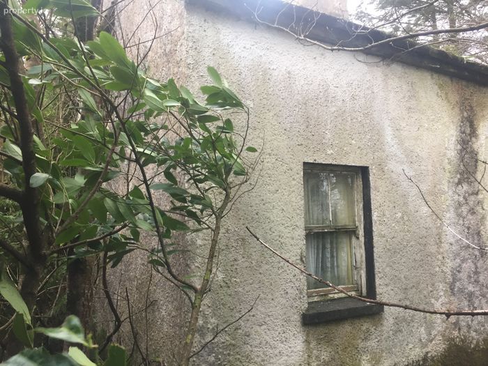 Glencollins Lower, Ballydesmond, Co. Cork Property.ie