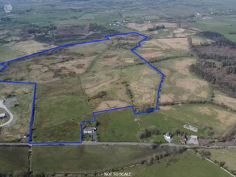C.73.50 Acres, Cromagh &amp; Monambraher, Kilconnell, Ballinasloe, Co. Galway, Kilconnel, Co. Galway