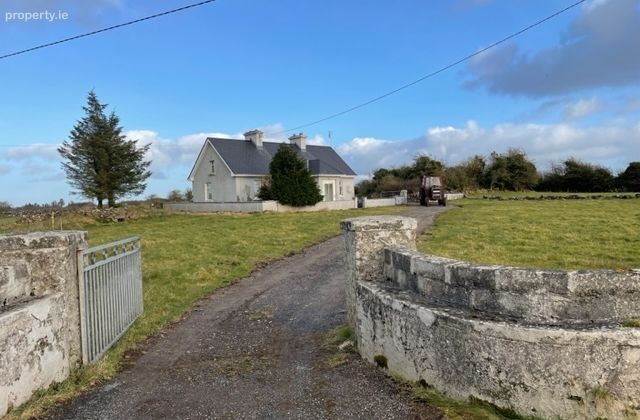 Cloonameeltogue, Shrule, Co. Mayo - Click to view photos