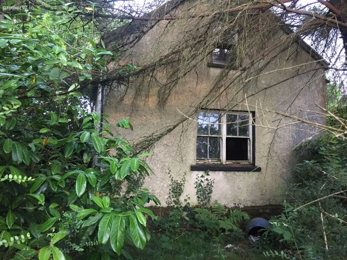 Glencollins Ballydesmond, Ballydesmond, Co. Cork Property.ie