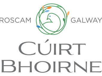 Cuirt Bhoirne, Cuirt Bhoirne, Roscam, Co. Galway - Image 5