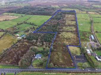 C. 20.88 Acres, Foughil, Trien, Castlerea, Co. Roscommon, Trien, Co. Roscommon