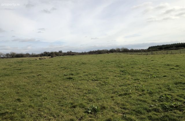C. 8.40 Acres Of Land At Barreel, Mayo Abbey, Claremorris, Co. Mayo - Click to view photos