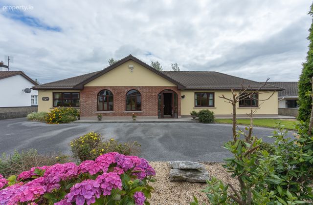 Willow Field, Lydican, Galway City, Co. Galway - Click to view photos
