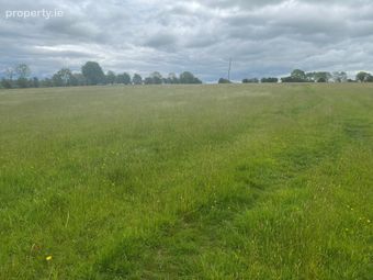 28.6 Acres At Baronstown Upper, Grange Con, Co. Wicklow - Image 3