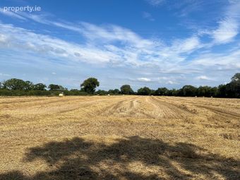 Bungalow &amp; Farmyard On C. 94.5 Acres/ 38.24 Hectares, Clonfert South, Maynooth, Co. Kildare - Image 4