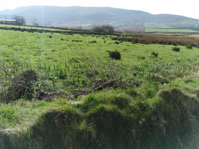 Killoe, Caherciveen, Cahersiveen, Co. Kerry Property.ie