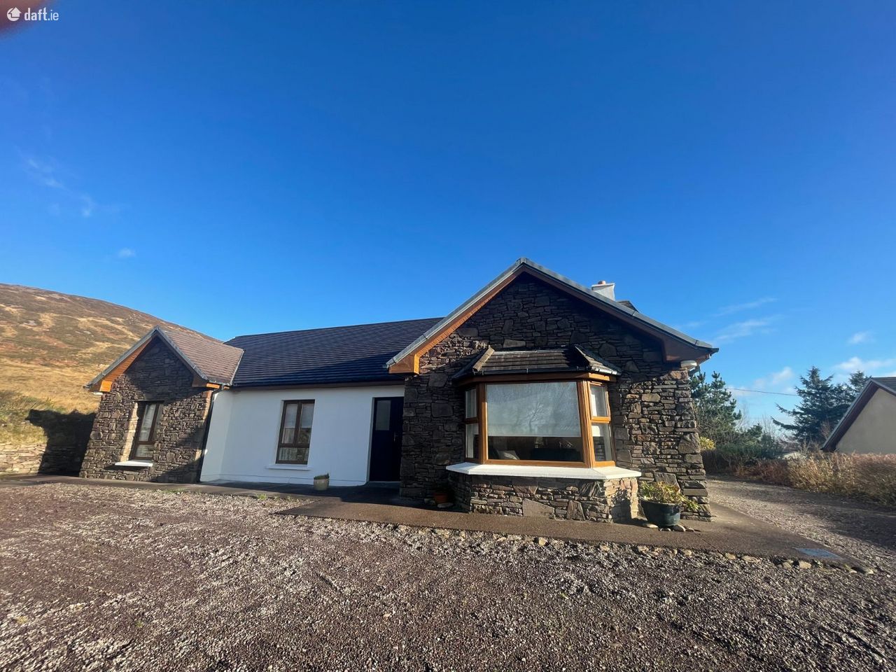 Foxgloves, Aughills, Castlemaine, Killarney, Co. Kerry, Aughils