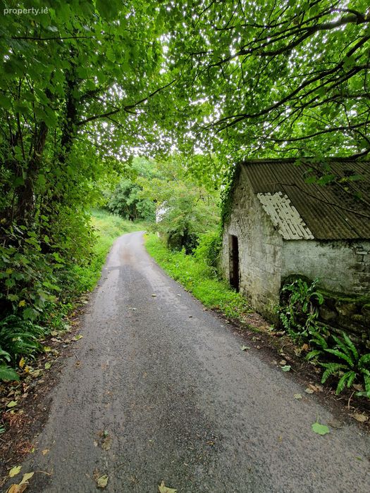 The Hollow, Rossnowlagh Upper, Rossnowlagh, Co. Donegal Property.ie