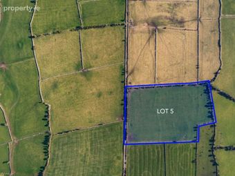 Lot 5 - C. 7.80 Acres In Carrowkeel, Dysart, Co. Roscommon