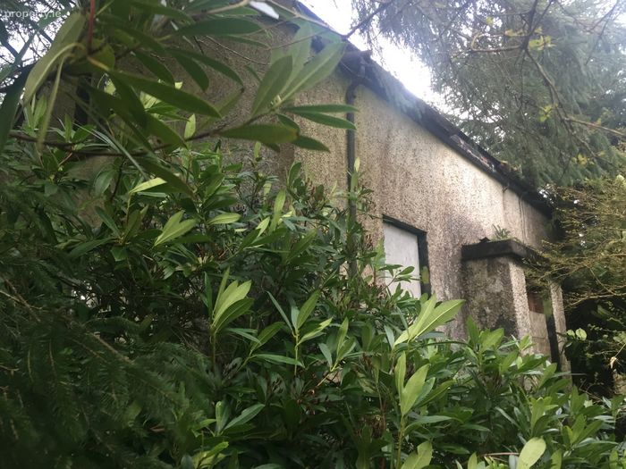 Glencollins Lower, Ballydesmond, Co. Cork Property.ie