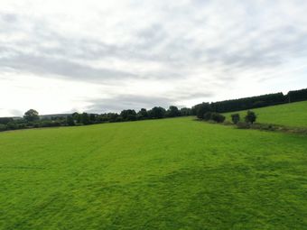 Land C. 51.5 Acres/ 20.8 Hectares, Blackdown, Kilteel, Co. Kildare - Image 5