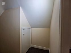 Photo 51