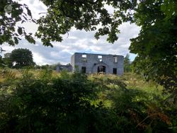 Mongfune, Murroe, Co. Limerick - Detached house