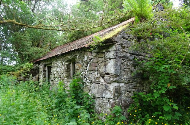 Derelict Cottage And C.131 Acres, Lenanasillagh, Castlebar, Co. Mayo - Click to view photos