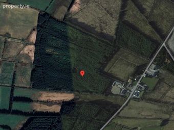 Forestry Land At Mularkane, Kilcummin, Killarney, Co. Kerry - Image 5