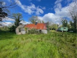Derelict Cottage