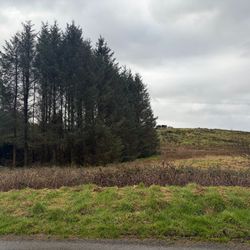 Ballyashea, Kilnamona, Co. Clare - Site For Sale