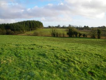 Tully, Loughglynn, Castlerea, Co. Roscommon - Image 4