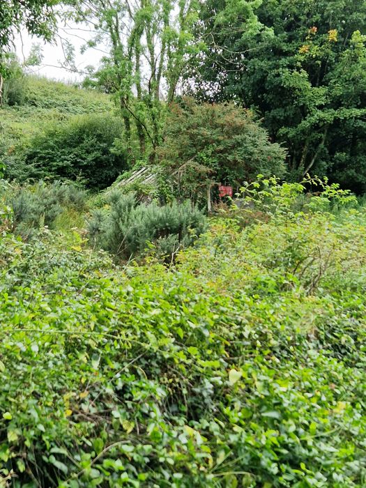 The Hollow, Rossnowlagh Upper, Rossnowlagh, Co. Donegal Property.ie