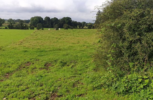 .27 Hectare / .66 Acre, Dalgin, Milltown, Tuam, Co. Galway - Click to view photos