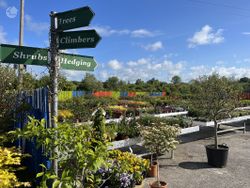 Woodford Garden Centre, Woodford, Co. Galway - Investment Property