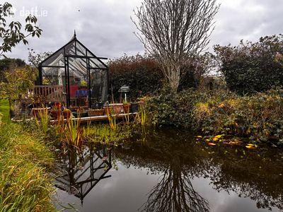 The Moon Shadow,125 Goat Street,Dingle,Tralee,Co. Kerry, Dingle, Co. Kerry