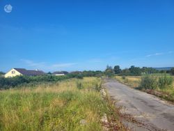 Serviced Site for 8 Houses, Borris-in-Ossory, Co. Laois - 