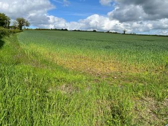 Alexanderaide, Navan, Co. Meath