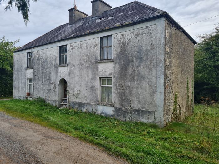 Boneill, Fenagh, Co. Leitrim Property.ie