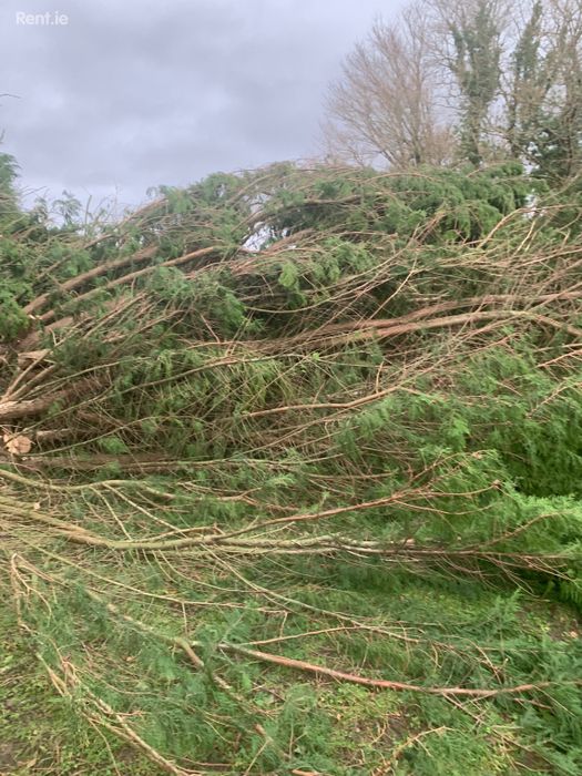 Dun Na Coiribe Headford Rd Galway, Galway City Centre, Co. Galway