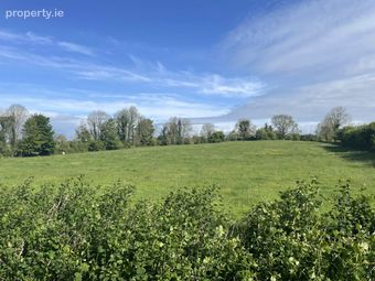 Spring Garden, Tynagh, Loughrea, Co. Galway