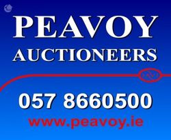 Peavoy Auctioneers