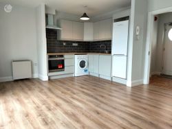 Kitchen/dining/living