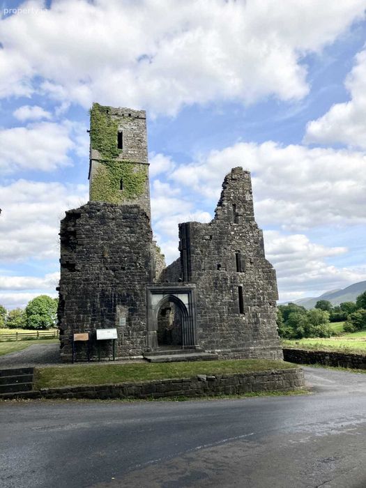Ardnamoher, Galbally, Co. Limerick Property.ie