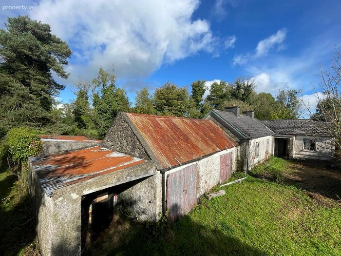 Cloontagh , Newtownforbes , Co. Longford, Newtownforbes, Co. Longford