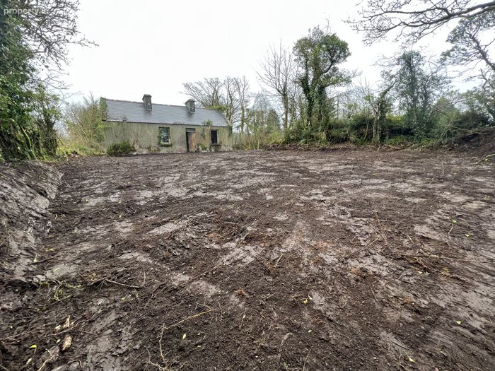 Kiltybo, Ballyhaunis, Co. Mayo Property.ie