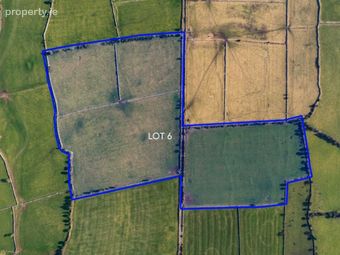 Lot 6 - C. 22.10 Acres (set Out In Two Adjoining Lots) In Carrowkeel, Dysart, Co. Roscommon