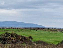 Views from master bedroom