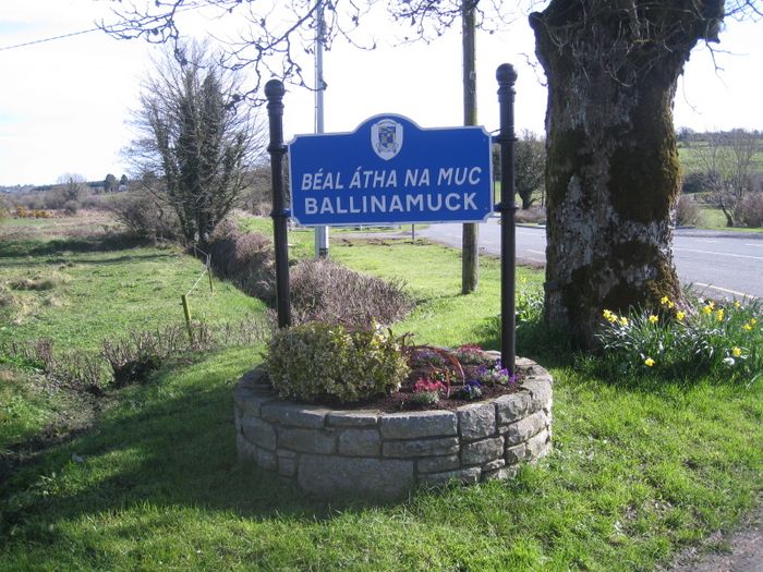 Kiltycreevagh, Ballinamuck, Co. Longford Property.ie