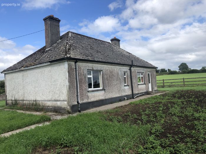 Ballinahown, Athlone, Co. Westmeath Property.ie