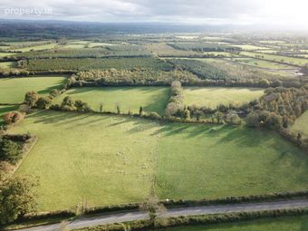 Lands 12.8 Acres At Bonnettstown,tullaroan Road, Kilkenny, Co. Kilkenny - Image 4