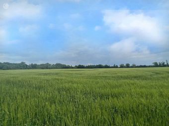 Painestown, Beauparc, Navan, Co. Meath